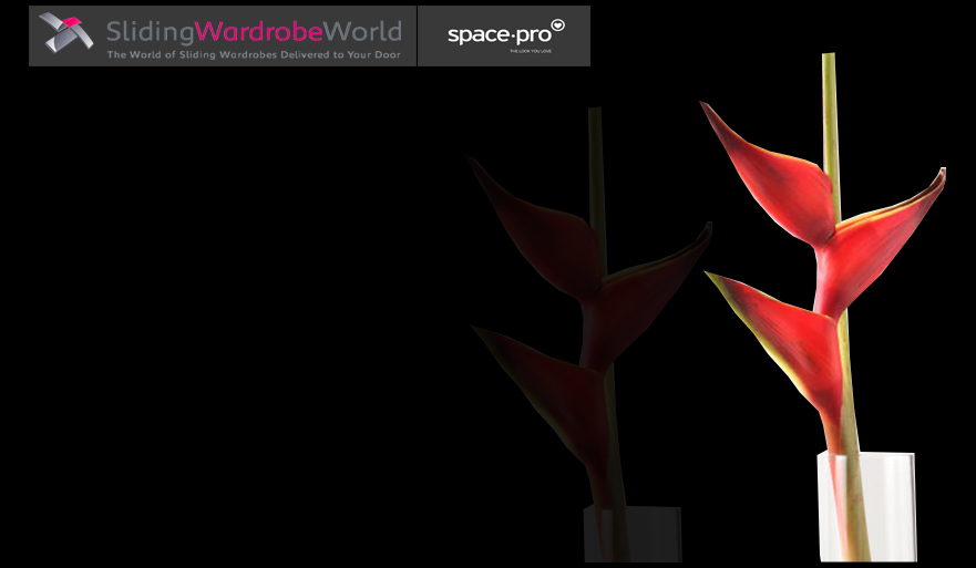 Black Glass  - Sliding Wardrobe World™ SpacePro™