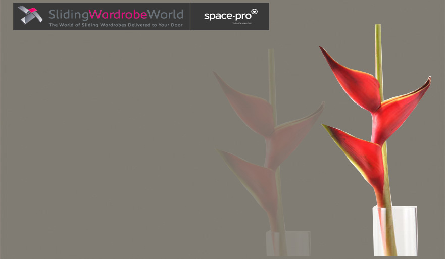 Cappuccino Glass - Sliding Wardrobe World™ SpacePro™