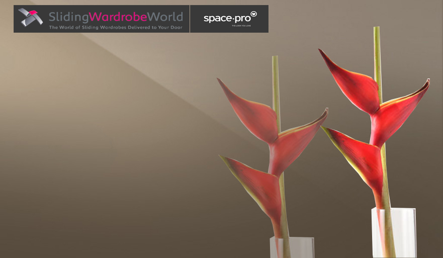 Bronze Mirror - Sliding Wardrobe World ™ SpacePro™