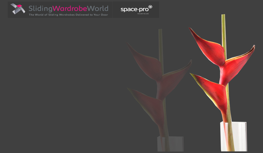 Dark Grey Glass - Sliding Wardrobe World™ SpacePro™