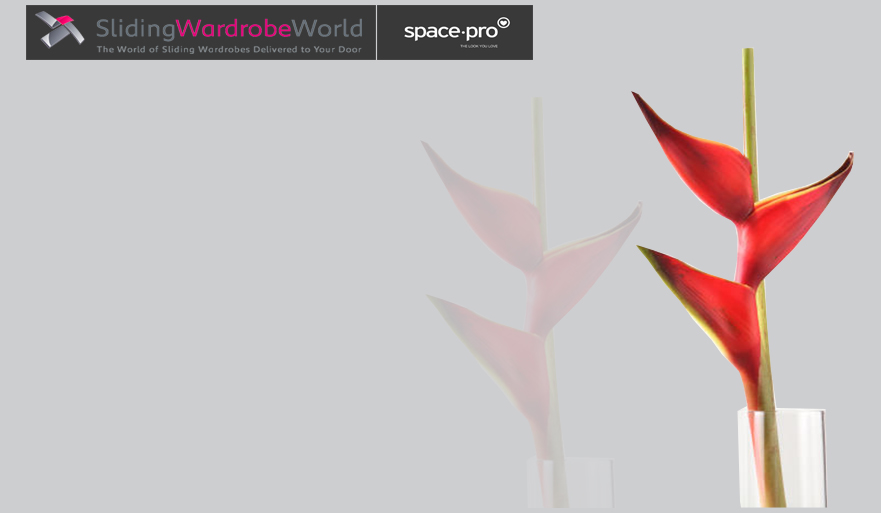 Light Grey Glass - Sliding Wardrobe World™ SpacePro™